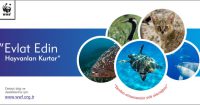 Support to WWF’s effort “Adopt and Save an animal”